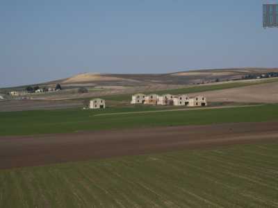 ...punteggiati da piccole case bianche